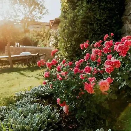 Luxurious Chateau Asa In Vila