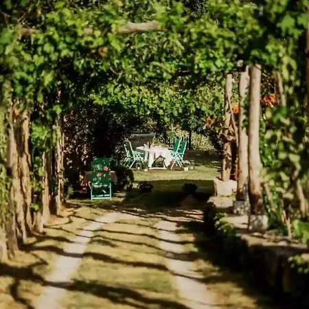 Casa vacanze Luxurious Chateau Asa In *