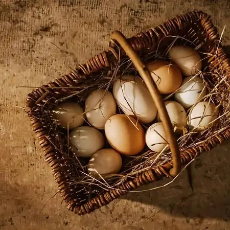 Luxurious Chateau Asa In *