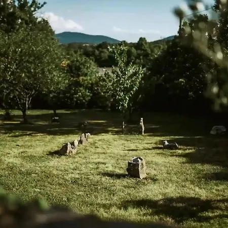 Дом отдыха Luxurious Chateau Asa In