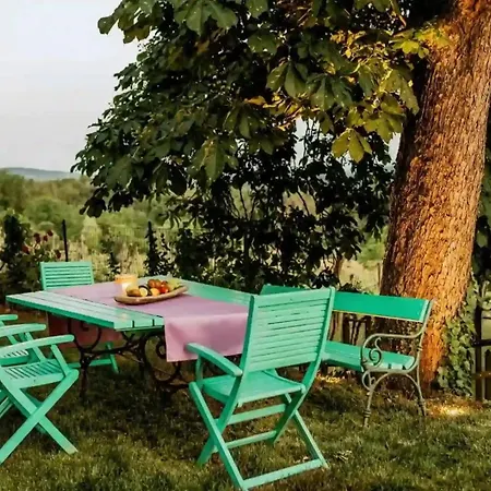 Luxurious Chateau Asa In